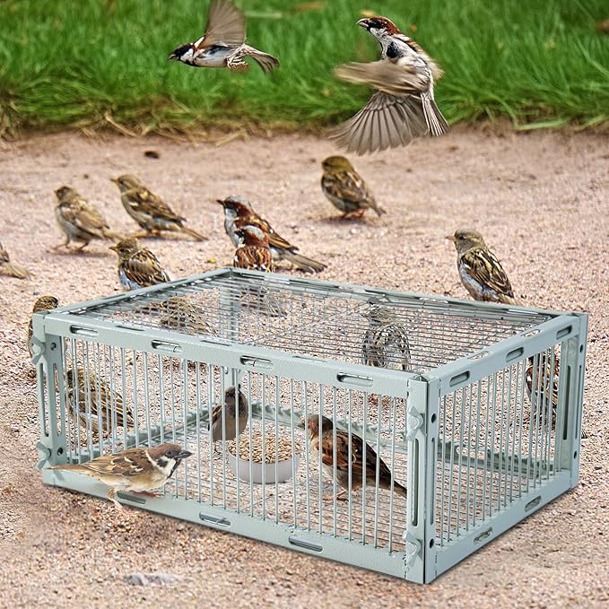 Bird Trap Cage with Escape-Proof Bird Traps for Small Birds Live Sparrow Trap Portable Easy Assembly and Unharmful.Made of lron with Anti-Rust Paint A3