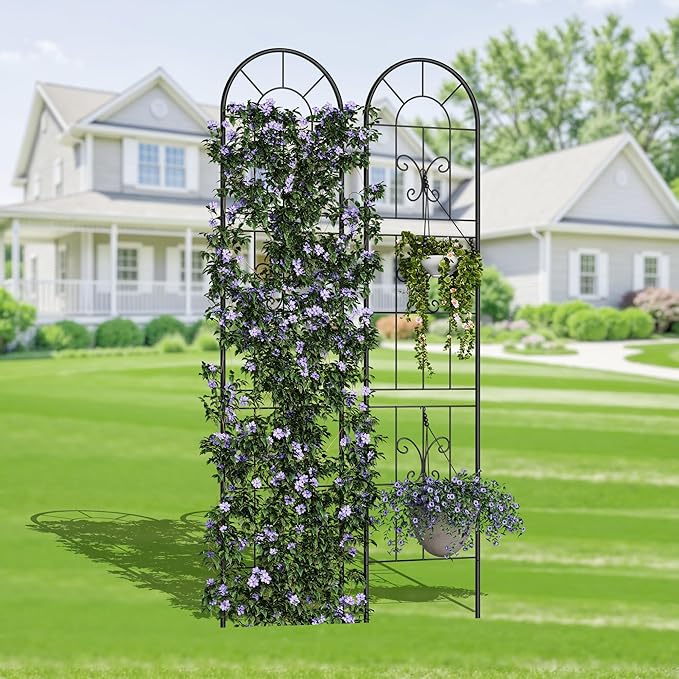 2 Pack Fence Panels 55 Tall Black Iron Garden Fence with Scroll Design Rustproof Outdoor Barrier for Small Yard Patio Decor &amp Plant Trellis