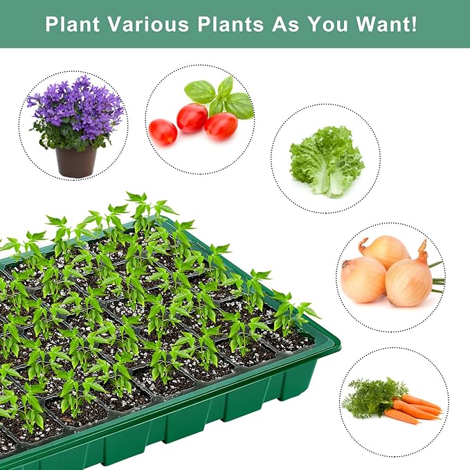 Elcoho 6 Pack Seed Starter Tray Kit 40 Cells Seedling Trays with Humidity Dome and Base Mini Propagator Plant Nursery Pots Total 240 Cells for Greenhouse Plants Growing Green