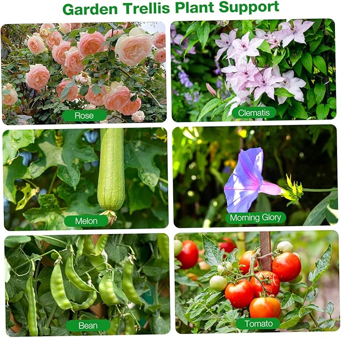 Folding Plant Support Stand Garden Trellis for Vine Plants Climbing Fruits
