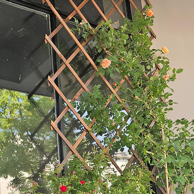 Expandable Garden Trellis Support for Climbing Plants Wooden Lattice Fence Wall Panel Lattice Panels for Outside for Climbing Plants Vine Ivy Rose Cucumbers Clematis(120 * 28cm)