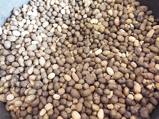 Organic Dried Sheep Manure - 5 Pounds