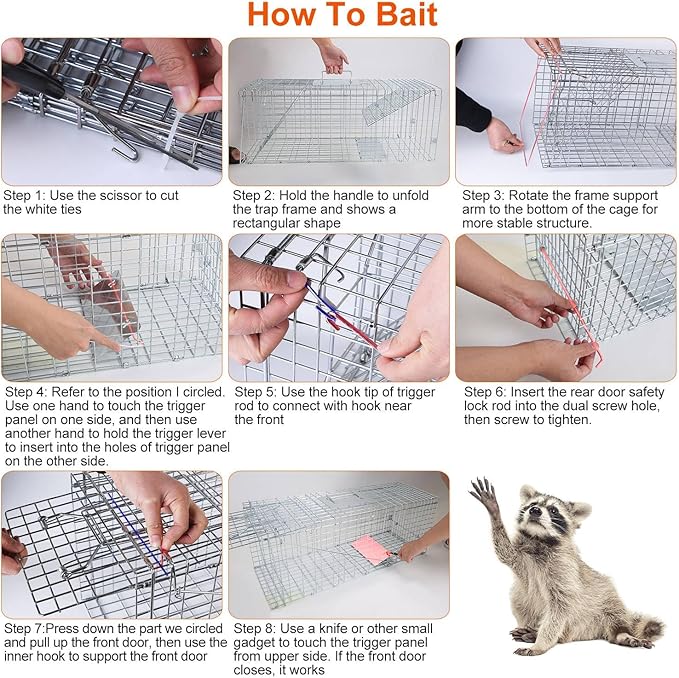 KOCASO Live Animal Trap Cage Large Foldable Galvanized Steel Humane Animal Cage Trap Heavy Duty Metal Cat Trap Cage for Stray Cat Raccoon Groundhog Squirrel Chipmunk Mole Gopher Skunk 31x11x12