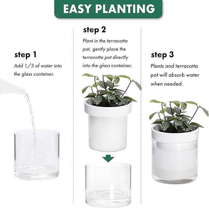 Phoenix Vine 6 Inch 4 Inch Self Watering Planter White Terracotta Clay Pots with Glass Reservoir for Indoor Plants Herbs Flowers 52-B-G-46