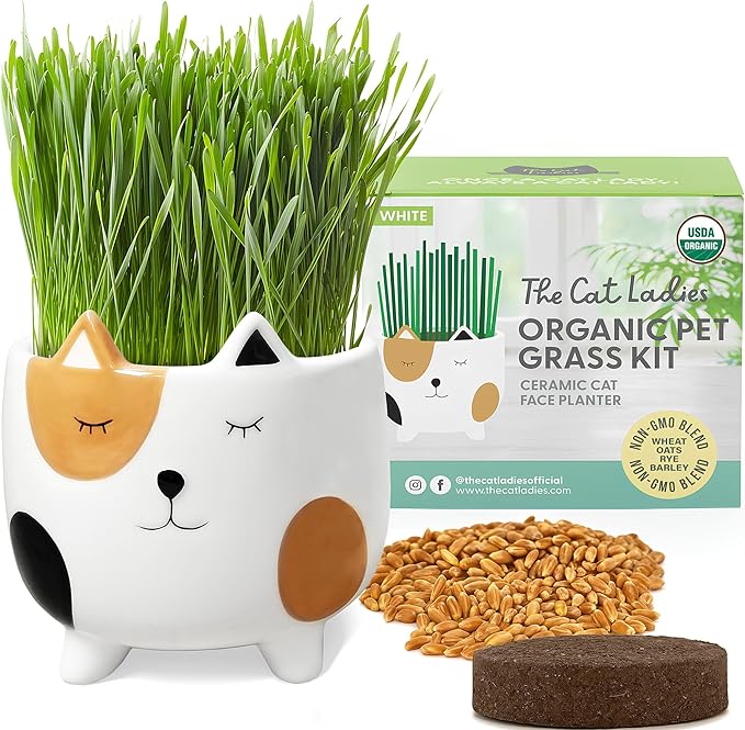 The Cat Ladies Cat Grass for Indoor Cats Cat Grass Growing Kit with Organic Cat Grass Seed Mix Soil and Ceramic Cat Planter Pet Grass for Cats Natural Hairball Remedy Cat Gifts