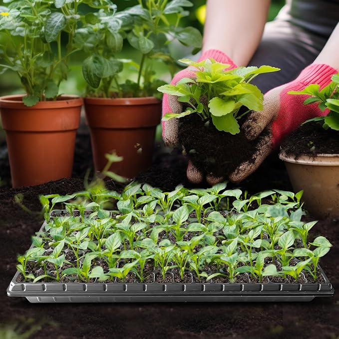 10Pcs 128 Cell Seed Starter Trays Thick Durable Nursery 128 Cell Plug Tray Seedling Flat Plastic Shallow Tray for TD538 1020 Trays (21.26 11.02 Deep 1.89) GGBQ128
