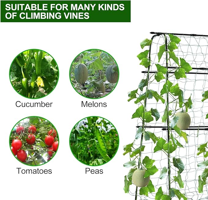Cucumber Trellis for Raised Bed 5x5ft Metal Garden Trellis Climbing Plants Outdoor Tomato Plant Support Grape Vegetables Squash Bean Pea Cucumber Trellis with Netting Black