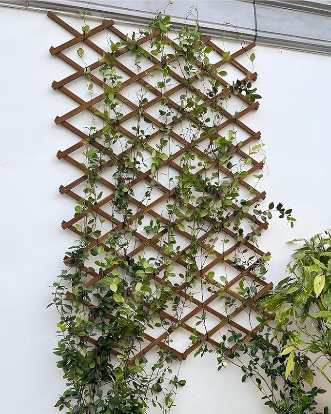 1Pack 47.2Inch Wooden Lattice Wall-Expandable Plant Garden Trellis for Climbing Plants Outdoor