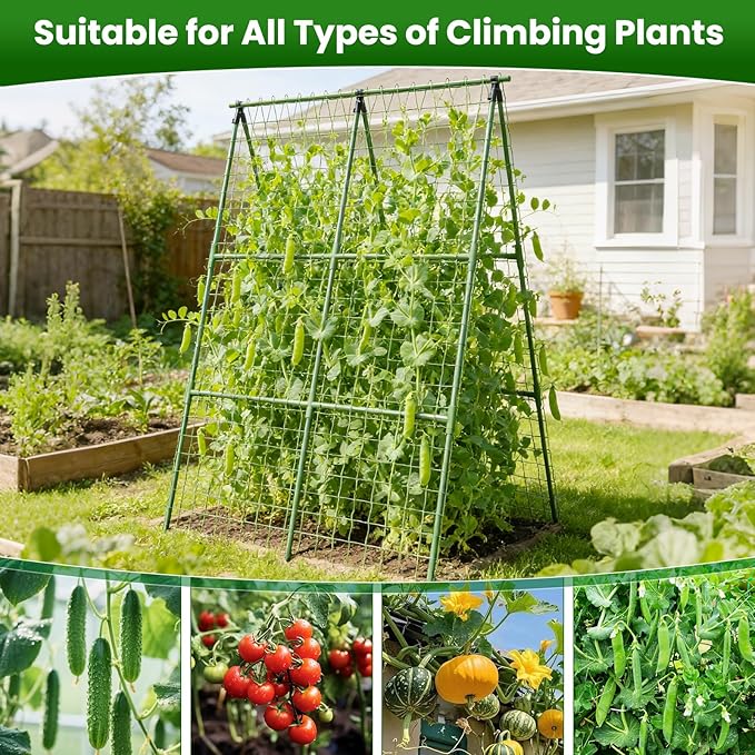 Cucumber Trellis for Raised Bed 32 L x 48 H A-Shape 2 Pack 11mm Garden Trellis for Climbing Plants Outdoor Metal Arch Trellis for Vegetables Plant Support for Tomato Pea Zucchini Grape Flowers