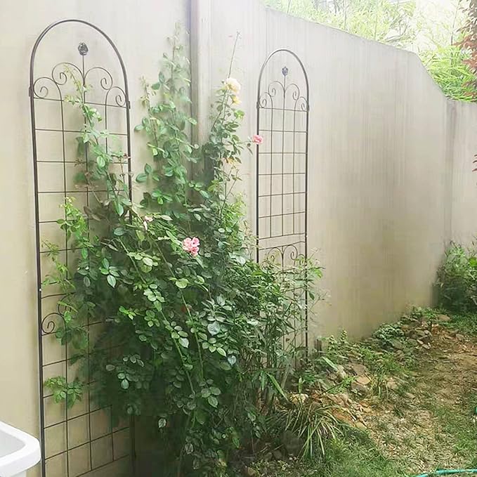 Metal Garden Trellis for Climbing Plants Black 4 Pack Connectable 19.7 x 86.7 Each Panel 80 Total Length Galvanized Tube with Rose Decoration