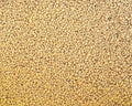 2 Gal. Genuine Japanese Kanuma Soil for Bonsai &amp Acid Loving Plants - Shohin Grain 2GKANUMAM