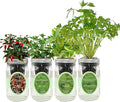 Hydroponic Mason Jar Indoor Garden Organic Seed Starter Kits - Taste of Asia Garden Growing Kits Gardening Gift (Sweet Nardello Pepper Mint Thai Basil Cilantro)