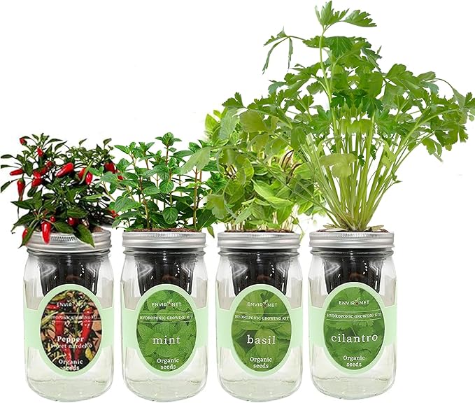 Hydroponic Mason Jar Indoor Garden Organic Seed Starter Kits - Taste of Asia Garden Growing Kits Gardening Gift (Sweet Nardello Pepper Mint Thai Basil Cilantro)