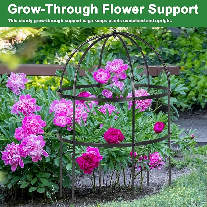 1 Pcs Jardin Bird Cage Plant Support 24 H Large Sturdy Grow-Through Flower Support Peony Cage Climbing Plant Support Trellis Sculptural Garden Decor for Perennial Flowers (Black)