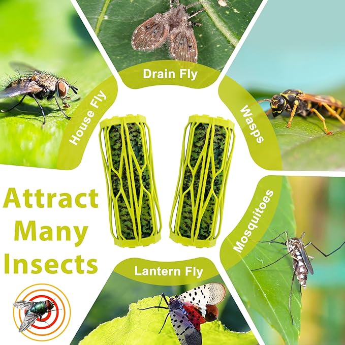 4 Pack Carpenter Bee Traps for Outside Wasp Trap Outdoor Hanging Wasp Fly Catcher Fly Trap Indoor Killer Hunter for Hornet Gnat Mosquito Flying Insect