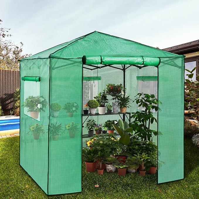 EAGLE PEAK 7x7 Portable Walk in Greenhouse Pop Up Indoor Outdoor Greenhouse Green House Kit with Zippered Roll-Up Doors and Windows + Mesh Lining &amp 2 Foldable Shelves PE Cover Clear/Green