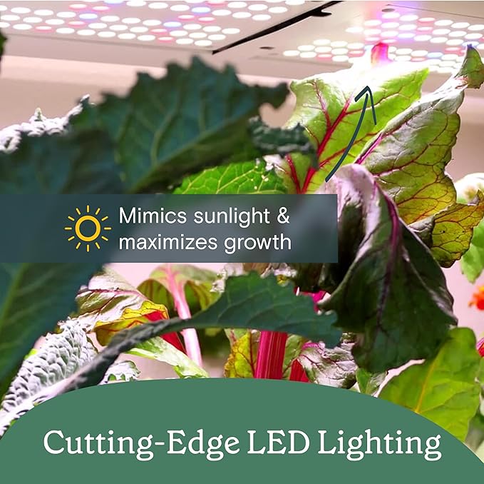 Rise Gardens 1 Level Garden Hydroponic Indoor Garden Kit with LED Grow Light Charcoal Color
