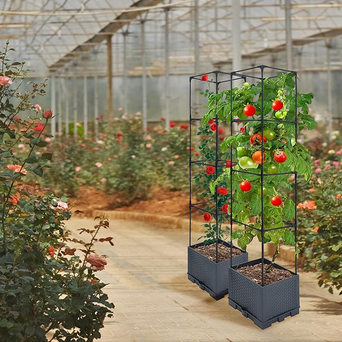 Raised Garden Bed Planter Box 1 Pack 56 Self-Watering Tomato Planter with Trellis for Climbing Vegetables Plants Grape Fruit FlowersUse for Indoor Outdoor Garden Patio