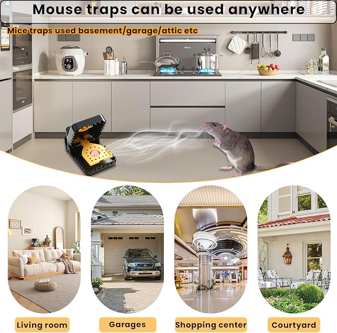 Mouse Traps Rat Trap Quick Effectively Best Mouse Trap Reusable Plastic Mousetraps Used Indoor &amp Outdoor Mice Snap Traps for Basement/Garage/Attic Anywhere 9set(2L+6s+1*Clip)