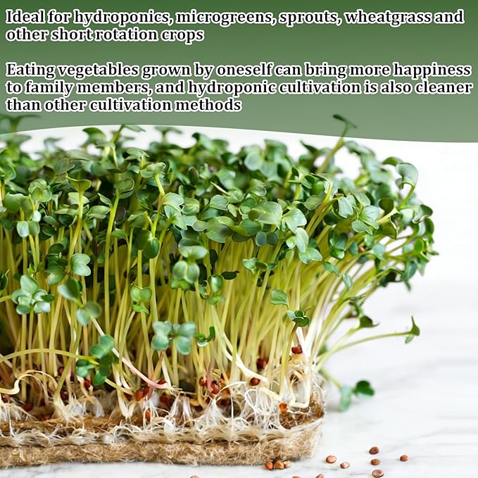 1 Roll 10 X 236Microgreen Grow Mat Hydroponic Grow Pads Natural Fiber Grow Mats Microgreens Growing Kit Indoor Organic Production for Wheatgrass Sprouts Starter Tray
