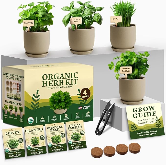 HOME GROWN Indoor Organic Herb Garden Kit Unique Valentines Day Gift for Adults Men &amp WomenGrow 4 Herb Seeds for Kitchen Window GardenBeginner DIY Hobby Gardening Gift for Plant Lovers Mom &