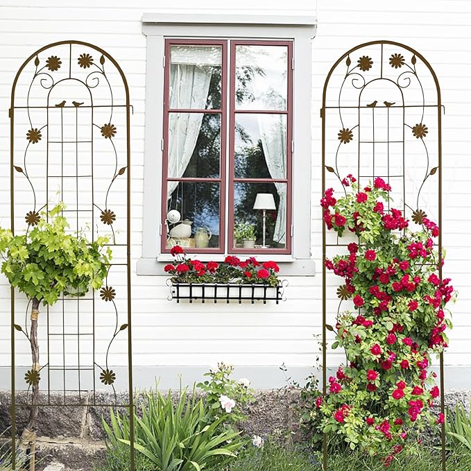 2 Pack Rustproof Metal Trellis for Climbing Plants 71x19.7 Outdoor Garden Support for Vines/Roses/Vegetables French Country Iron Plant Stand for Patio/Wedding Decor (Brown)