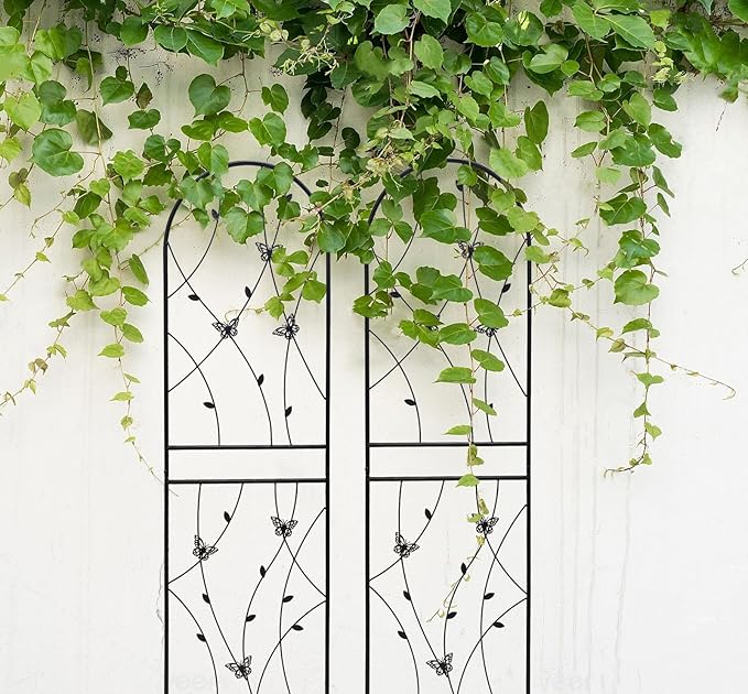 4 Pack Large Garden Trellis Heavy Duty Rustproof Iron Plant Trellis for Potted Plant Support Metal Climbing Rose Trellis Vine Vegetable Cucumber Black -71 H x 19.7 W