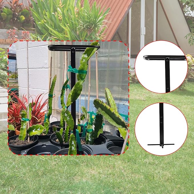 Dragon Fruit Trellis Plant Trellis Garden Climbing Stake Support Potted Plant Support for Fruits