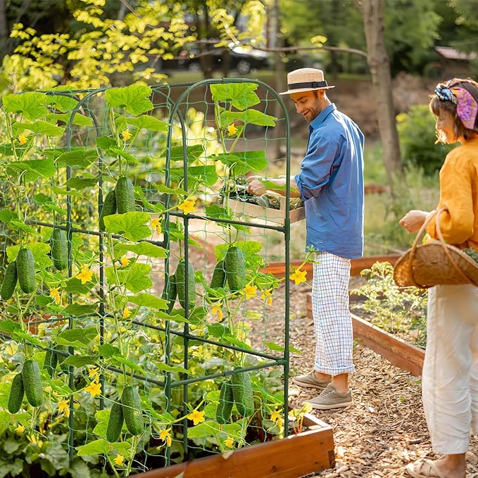 Cucumber Trellis for Raised Bed 50 x 34 Inch U-Shape Garden Trellis for Climbing Plants Outdoors Metal Garden Cucumbers Arch Trellis Cucumber Plant Support for Tomato Pea Zucchini Vine Flower