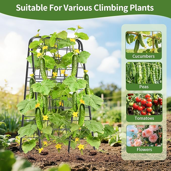 100% Metal Cucumber Trellis for Raised Bed50x17 A-Shape Garden Plant Support for Climbing Plants Heavy Duty Metal Garden Trellises Plant Support for Vine Vegetables Outdoor (Black 50x17(H*W))