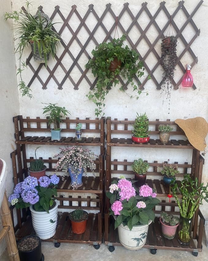 LTSRLL Expanding Wooden Trellis 44cm X 23cm ~ 300cm X 120cm Riveted Garden Trellis Fence Panels Vegetable Fruit Vines Support Structure for Terrace Yard Wall Decoration(H44)