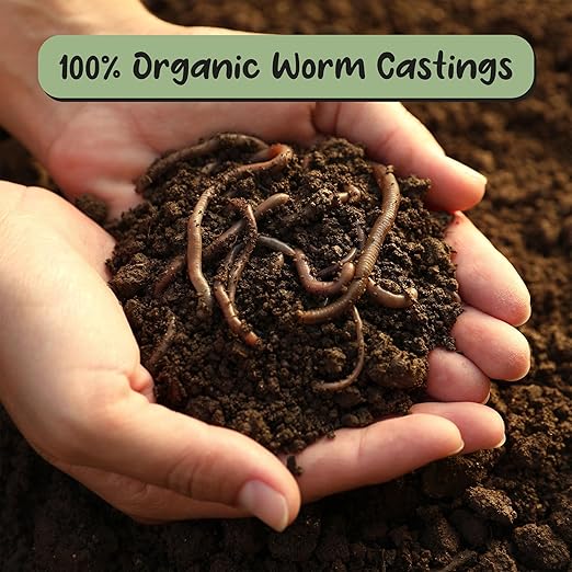 Soil Sunrise Premium Organic Worm Castings (8 Pounds) 8QT All Natural Soil Additive Soil Builder and Fertilizer