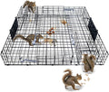 Humane Live Animal Trap for Squirrels Chipmunks Mice &amp Rodents - 24.5 Multi-Catch Cage with Auto-Reset System | High-Efficiency Continuous Trapping | Durable Steel for Garden Farm Backyard