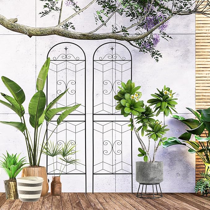 2 Pack Large Garden Trellis Heavy Duty Rustproof Iron Plant Trellis for Potted Plant Support Metal Climbing Rose Trellis Vine Vegetable Cucumber Black -86 H x 19.7 W