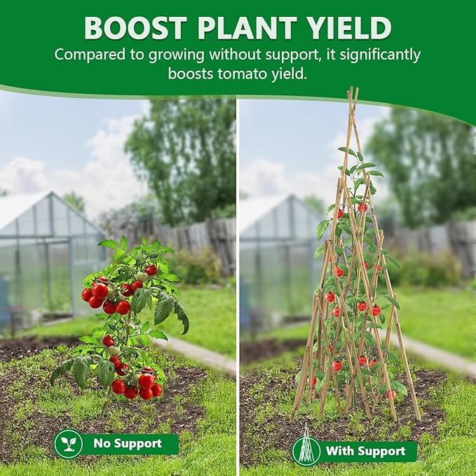 Garden Bamboo Obelisk Plant Support for Climbing Plants Outdoor Adjustable Height 35 to 45 inches Tall Cucumber Trellis