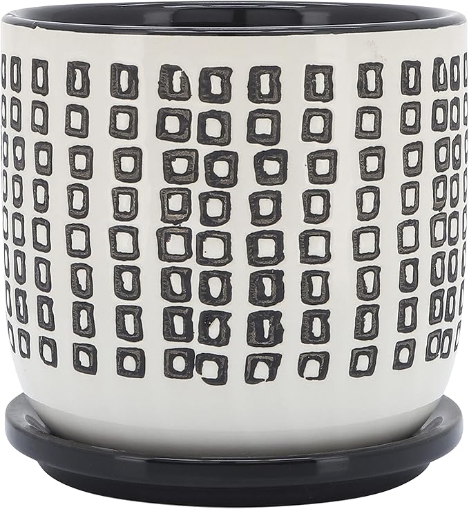 Generic  6 Planter W Saucer Black