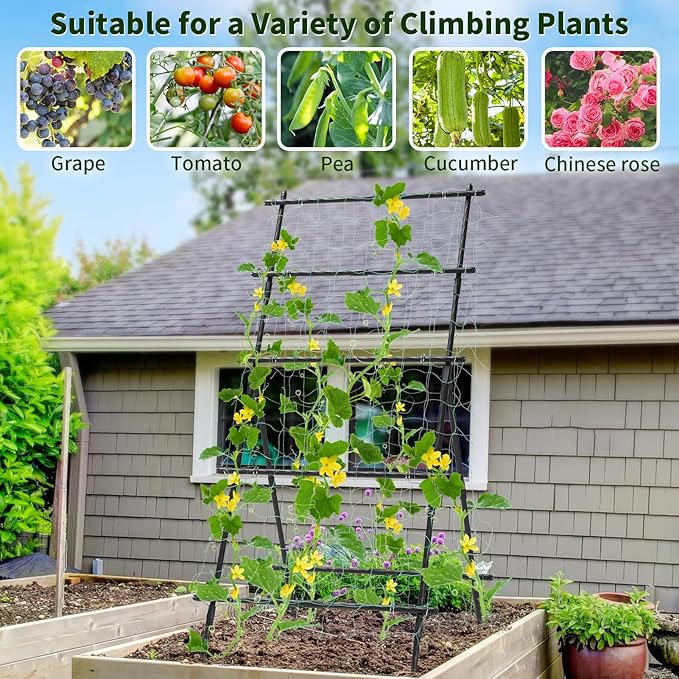 Garden Trellis for Climbing Plants 6ft Cucumber Trellis for Raised Bed Pea Grape Vine Tomato Trellis Cattle Panel A Frame Vegetable Plant Support Outdoor for Backyard Black