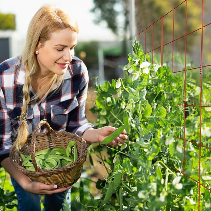 DOEWORKS Cucumber Trellis 48 High Foldable A Frame Garden Trellis 2 Pack Plant Support for Climbing Cucumber Beans Tomatoes Flowers Red