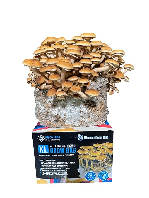 All-in-One Mushroom Grow Bag for Manure Loving Mushrooms + Spore Germination Jar! (6LB)