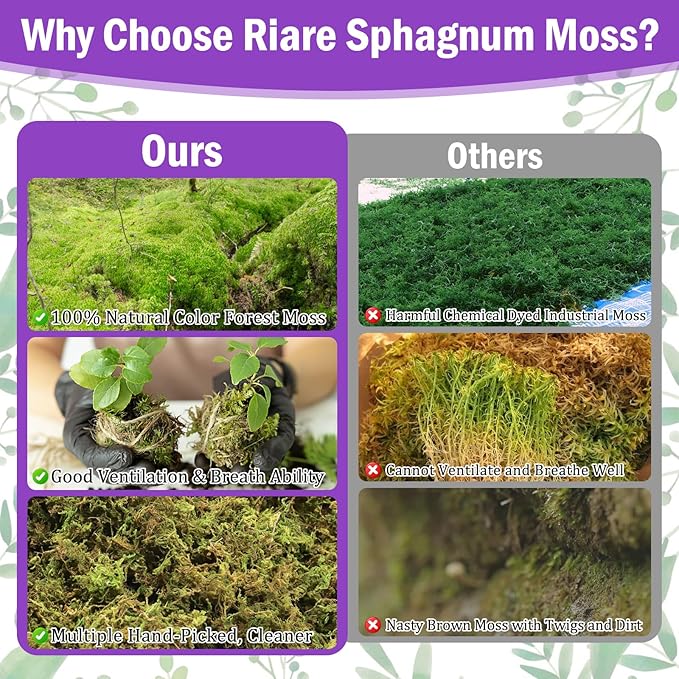 Riare 3.3LBS Premium Sphagnum Moss for Plants- 60QT Natural Dried Plant Moss for Potted Plants Orchid Moss for Repotting Soft Green Decorative Moss for Succulents Reptiles &amp DIY Crafts