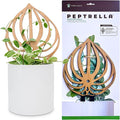 Treleaf Peptrella Watermelon Peperomia Inspired Wooden Trellis – Petite Size 9 Indoor Plant Support for Hoyas and Climbing Plants – Decorative Houseplant Trellis and Wooden Plant Stake