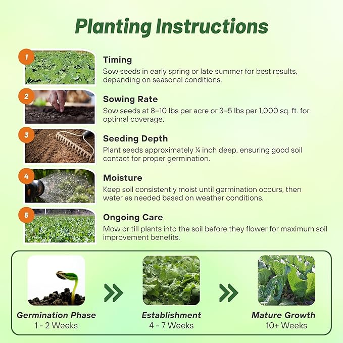 Outsidepride Bayou Kale Seeds - 5 lb. Annual Versatile &amp Cold-Tolerant Cover Crop Seeds for Planting Large Resilient Foliage for Livestock Grazing Erosion Control &amp Easy Growth