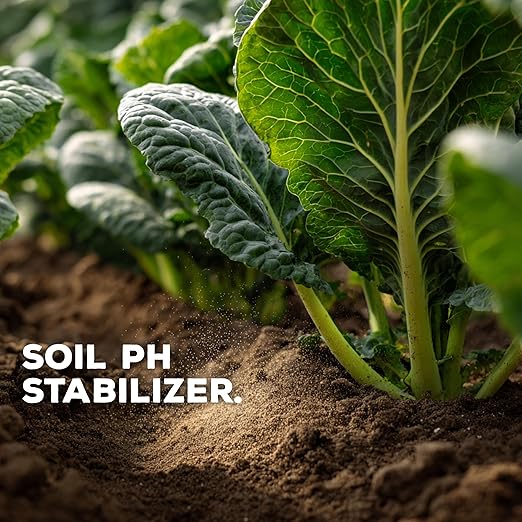 Soil Seed &amp Water SKMicrosource – Sulfur and Potassium Nutrient Mix Soil Conditioner Fertilizer with micronutrients Iron zinc and Magnesium - OMRI Listed Organic Fertilizer