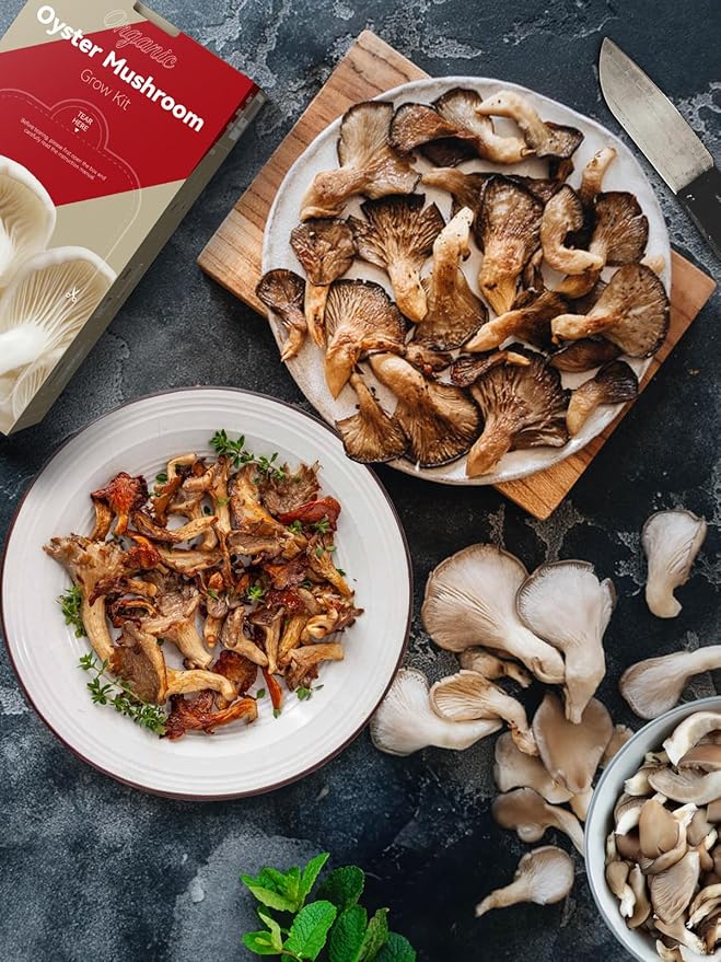 inbloom Organic Oyster Mushroom Growing Kit with Spray Harvest Fresh Mushrooms at Home Beginner Friendly &amp Easy to Use Unique Gardening Gift for Holiday Handmade in New Jersey USA