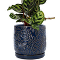 D'vine Dev 8 Inch Embossed Leaves Stoneware Planter Pot with Drainage Hole and Saucer Midnight Blue 27-A-Q-3
