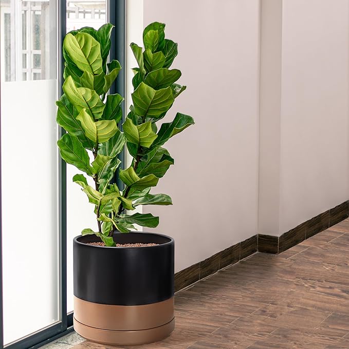 D'vine Dev 14 Inch Ceramic Planter Pot with Drainage Hole and Saucer Indoor Cylinder Round Planter Pot Black/Speckled Tan 94-O-G-7