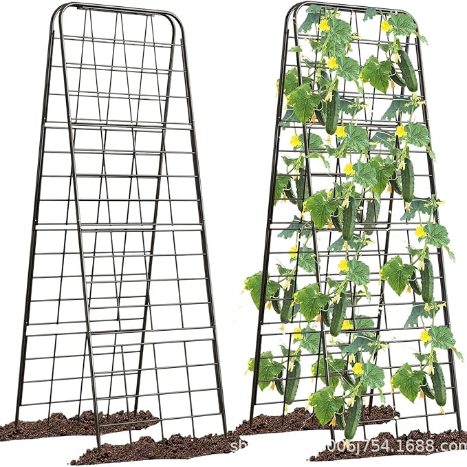 Cucumber Trellis 50x30 Metal Garden Trellis for Climbing Plants A Frame with Powder Coated Black Iron Heart Shaped