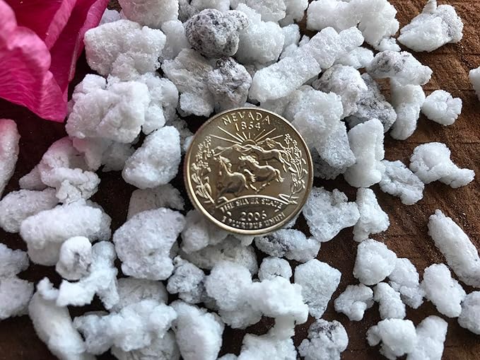 Exxxpanded Perlite #3 - (8QTS) Coarse Hydroponic Grow Media and Soil Amendment