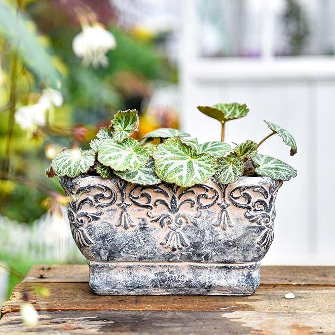 Sungmor 9.2 Inch Cement Plant Pot for Plants Succulent Planter with Embossed Design Vintage Concrete Flowerpots with Drainage Hole Decorative Orchid Houseplant Pot Indoor Outdoor Plant Container