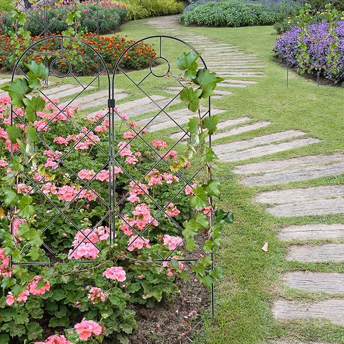 Garden Trellis for Climbing Plants for Climbing Plants Metal Rustproof Plant Support Trellis for Potted Plants for Climbing Plant Flower Rose Clematis Morning Glory Peony (2)